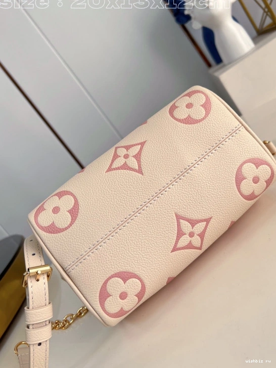 WIS LOUIS SPEEDY VUITTON 20 BANDOULIÈRE 0313